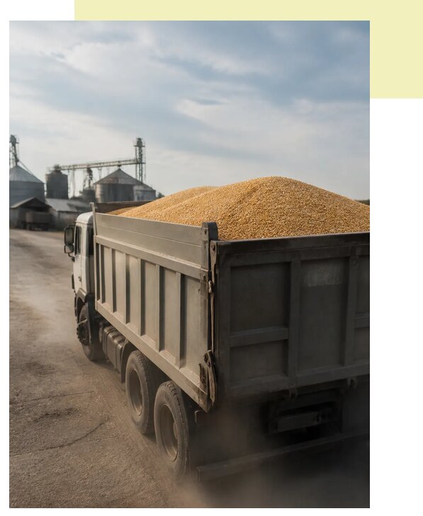 Перевозка сельхозпродукции навалом в Кохму по цене от 3116 р. | Агросервис-Кхм