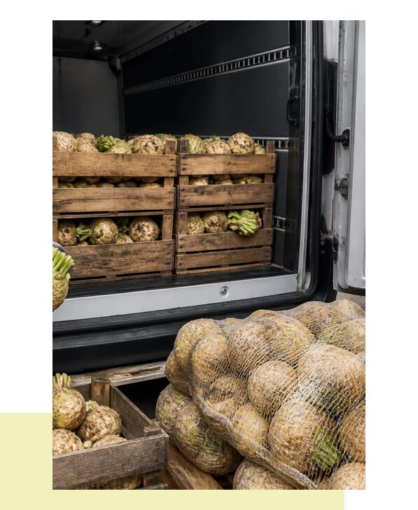 Доставка и перевозка корневого сельдерея оптом в Кохму